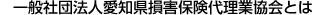 一般社団法人愛知県損害保険代理業協会とは